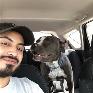 Meet your Posher, Fernando